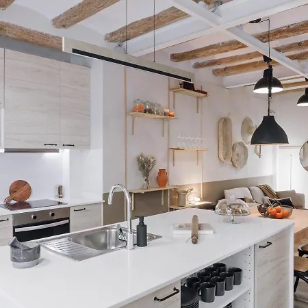 Apartament Spacest - Carrer De Sant Pere Martir A Barcelona