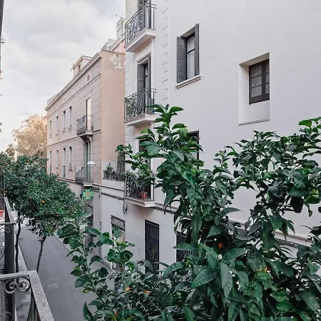 Spacest - Carrer De Sant Pere Martir A Apartament Barcelona